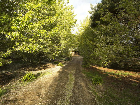 Angel's Rest - C Tourism 0