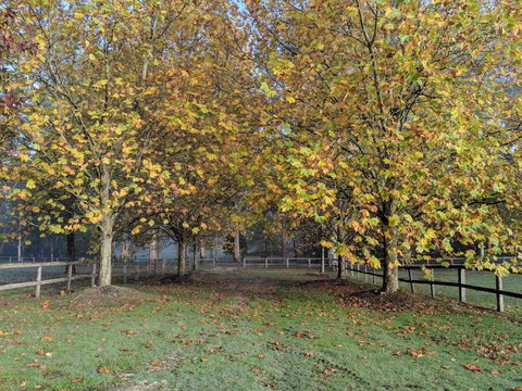 Kangaroo Manor - C Tourism 11