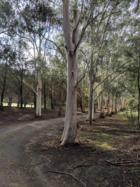 Kangaroo Manor - C Tourism 10