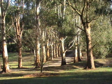 Kangaroo Manor - C Tourism 21