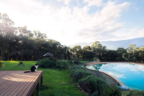 Kangaroo Manor - C Tourism 23