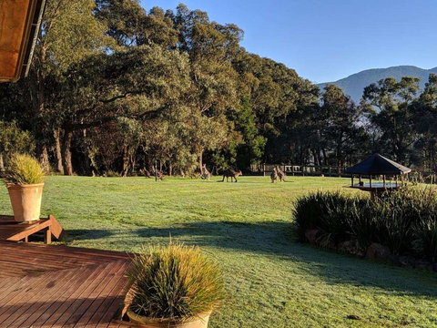 Kangaroo Manor - C Tourism 5