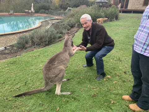 Kangaroo Manor - C Tourism 13