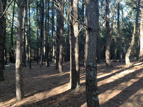 Kangaroo Manor - C Tourism 4