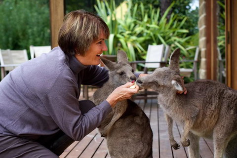 Kangaroo Manor - C Tourism 20