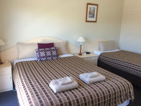 Ambassador Motor Inn - C Tourism 13