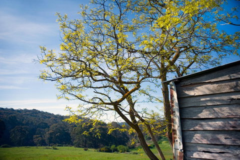 Cabrito - C Tourism 9