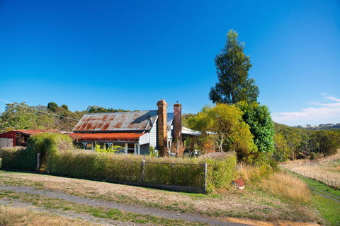 Cabrito - C Tourism 10