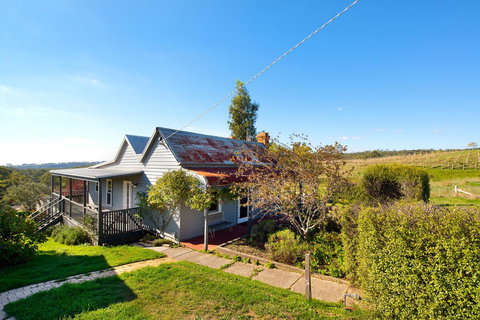 Cabrito - C Tourism 0