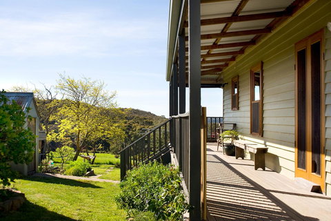 Cabrito - C Tourism 1