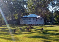 Book Peregian Beach Accommodation Vacations C Tourism C Tourism