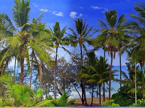 By The Sea Port Douglas - C Tourism 3