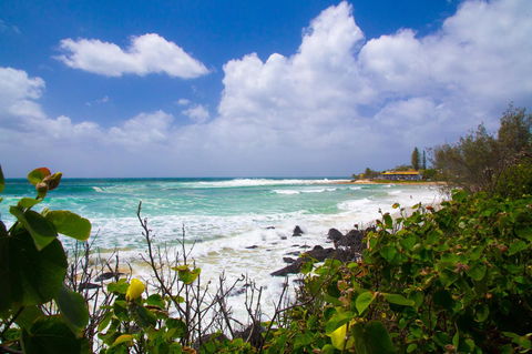 Rainbow Bay Backpackers - C Tourism 0