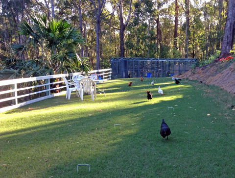 Noosa Hinterland Retreat - C Tourism 11