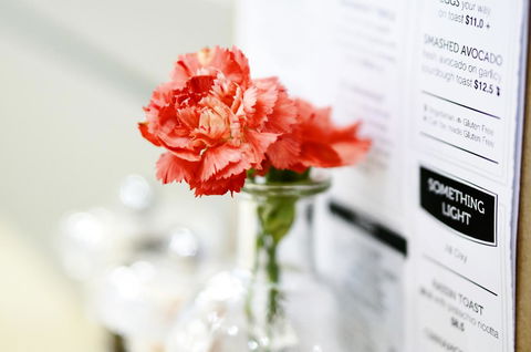 Madison Plaza Townsville - C Tourism 20