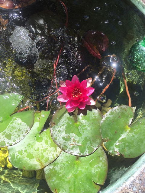 Bed & Breakfast 1 Bedroom Guest House - C Tourism 42