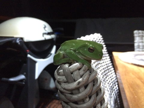 Bed & Breakfast 1 Bedroom Guest House - C Tourism 43