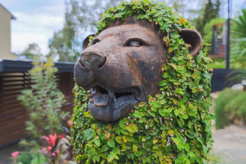 Bed & Breakfast 1 Bedroom Guest House - C Tourism 44