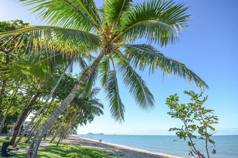 Roydon Beachfront Apartments - C Tourism 6