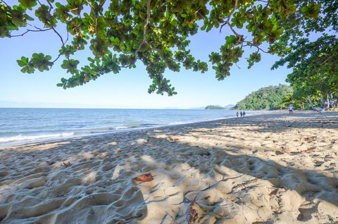 Roydon Beachfront Apartments - C Tourism 29