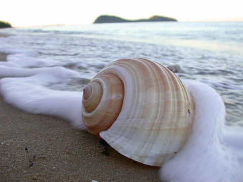 Argosy On The Beach - C Tourism 18