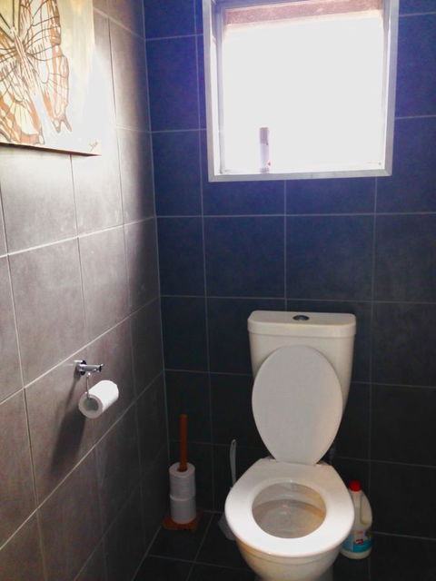 XYL Pets Friendly Seaside Boutique Guesthouse - C Tourism 5