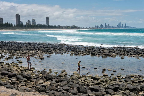 Oceania On Burleigh Beach - C Tourism 42