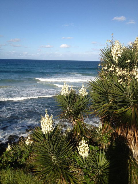 Oceania On Burleigh Beach - C Tourism 23