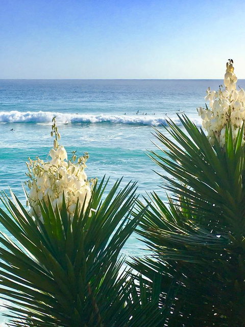 Oceania On Burleigh Beach - C Tourism 21