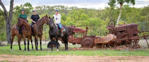 Ironbark House - C Tourism 8