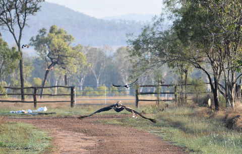 Ironbark House - C Tourism 9