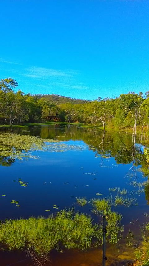Ironbark House - C Tourism 21