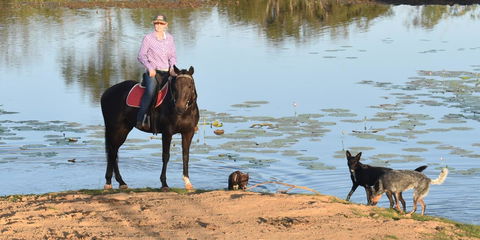 Ironbark House - C Tourism 39