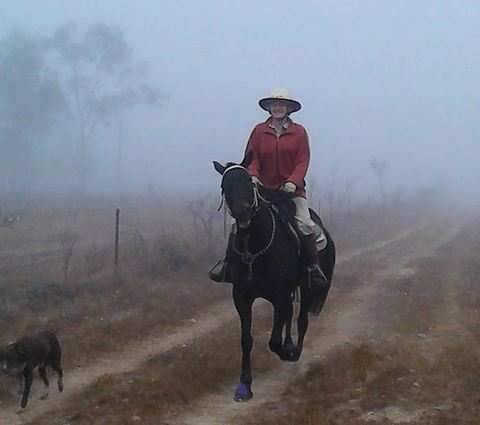 Ironbark House - C Tourism 37