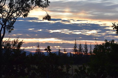 Ironbark House - C Tourism 40