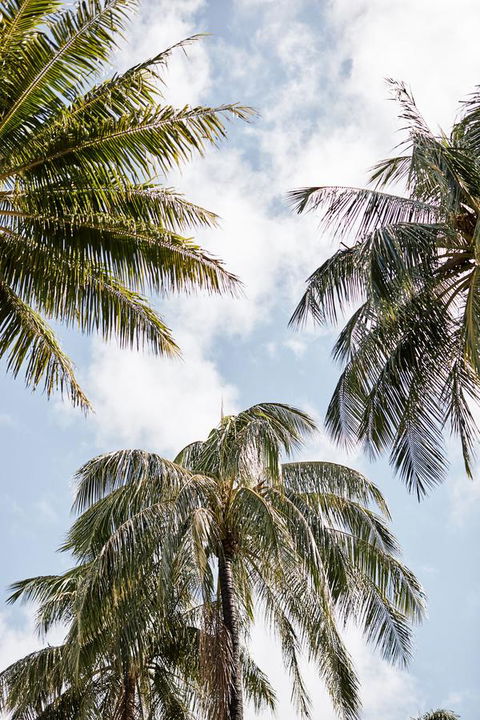 Novotel Cairns Oasis Resort - C Tourism 9