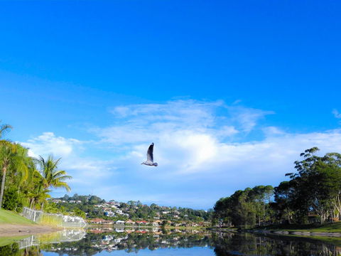 Bay Of Palms - C Tourism 18