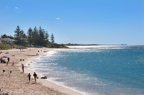 The Norfolks On Moffat Beach - C Tourism 0