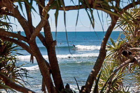 The Norfolks On Moffat Beach - C Tourism 7