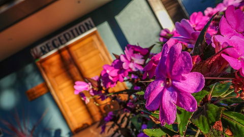 Blue Summit Hideaway - C Tourism 33