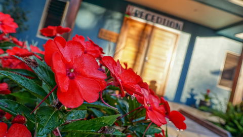 Blue Summit Hideaway - C Tourism 1