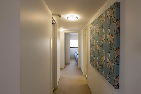 Burgess @ Kings Beach Apartments - C Tourism 39