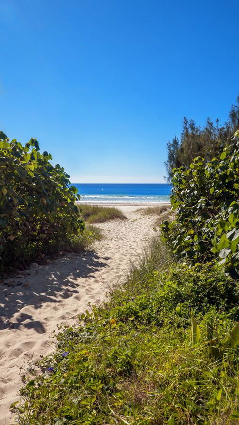 Bilinga Beach Motel - C Tourism 26