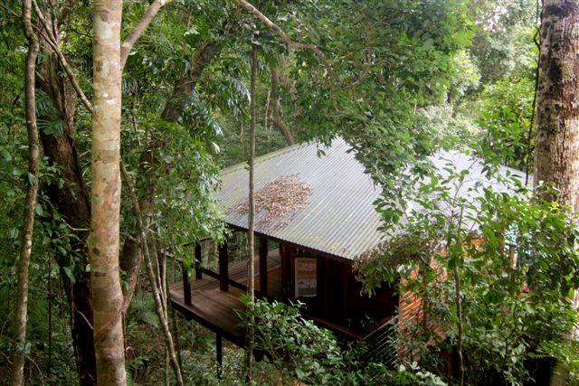 Mount Sheridan QLD C Tourism