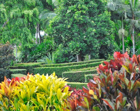 Soho Brisbane - C Tourism 3