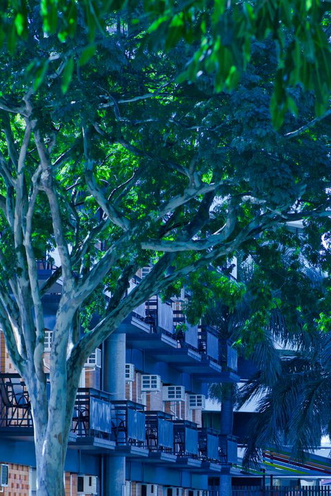 Soho Brisbane - C Tourism 12