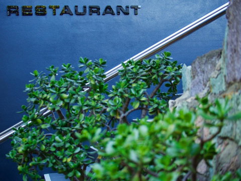 Soho Brisbane - C Tourism 22
