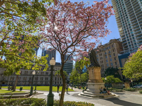 Oaks Brisbane Casino Tower Suites - C Tourism 8
