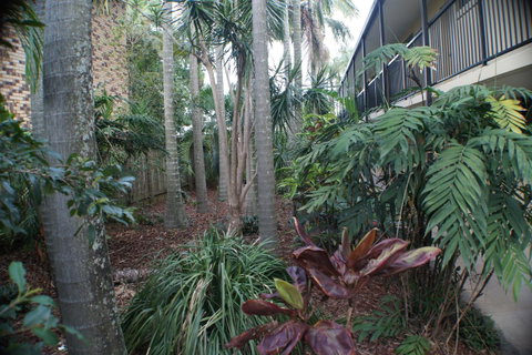 Best Western Airport 85 Motel - C Tourism 34