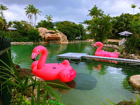 Cairns Colonial Club Resort - C Tourism 6